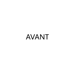 Avant réparation